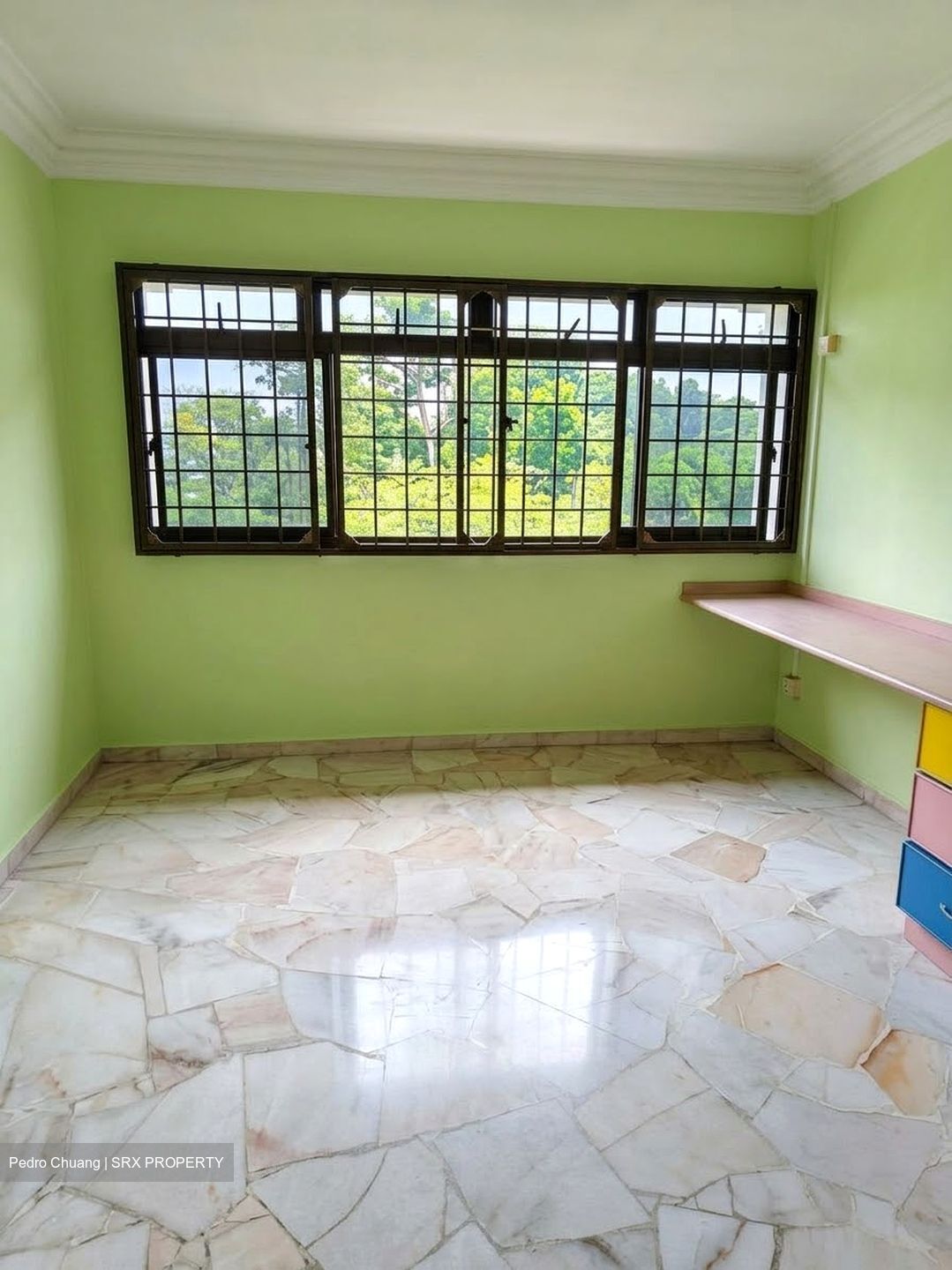 Blk 290B Spring View (Bukit Batok), HDB Executive #628785451